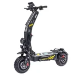ZSNAKE T116 Plus Electric Scooter ZSNAKE T116 Plus Electric Scooter