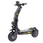 ZSNAKE T116 Plus Electric Scooter ZSNAKE T116 Plus Electric Scooter
