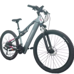 YG90A Electric Bike