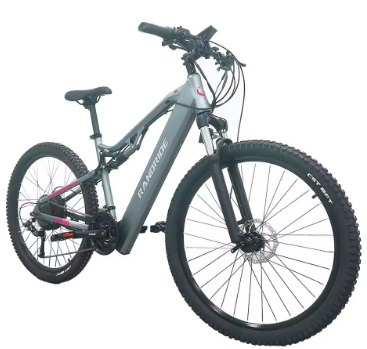 YG90A Electric Bike