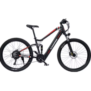 RANDRIDE YS90B Electric Bike RANDRIDE YS90B Electric Bike