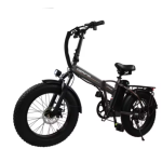 Baolujie DZ-2002 Electric Bike Baolujie DZ-2002 Electric Bike