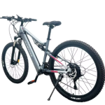 YG90A Electric Bike