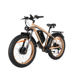 Baolujie DP-2602 Electric Bike Baolujie DP-2602 Electric Bike