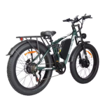 Baolujie DP-2603 Full-Suspension Electric Bike Baolujie DP-2603 Full-Suspension Electric Bike