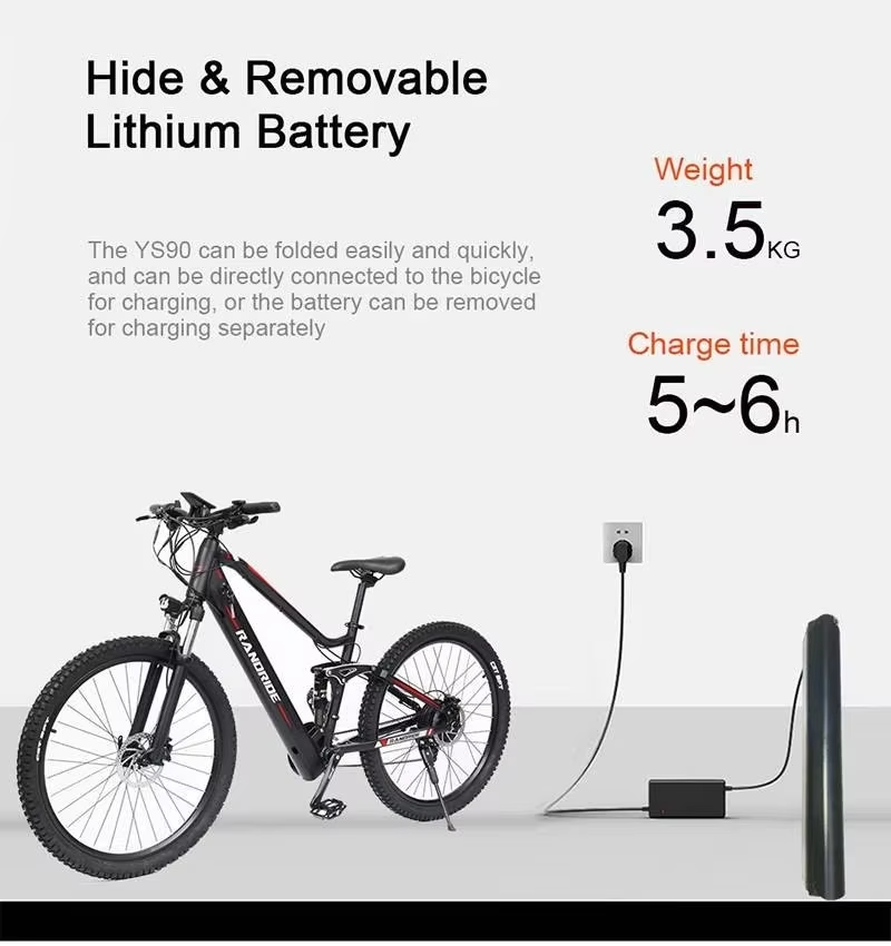 RANDRIDE YS90B Electric Bike RANDRIDE YS90B Electric Bike