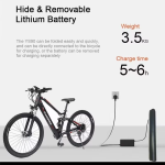 RANDRIDE YS90B Electric Bike RANDRIDE YS90B Electric Bike