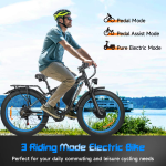 Baolujie DP-2603 Full-Suspension Electric Bike Baolujie DP-2603 Full-Suspension Electric Bike