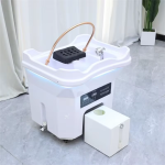 Portable Salon Head Spa Wash Basin Portable Salon Head Spa Wash Basin