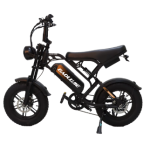 Baolujie F2 Electric Mobility Vehicle Baolujie F2 Electric Mobility Vehicle