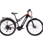 RANDRIDE YG90 Electric Bike RANDRIDE YG90 Electric Bike