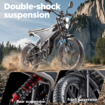 RANDRIDE DM711 Electric Bike RANDRIDE DM711 Electric Bike
