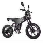 RANDRIDE DM711 Electric Bike RANDRIDE DM711 Electric Bike