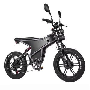 RANDRIDE DM711 Electric Bike