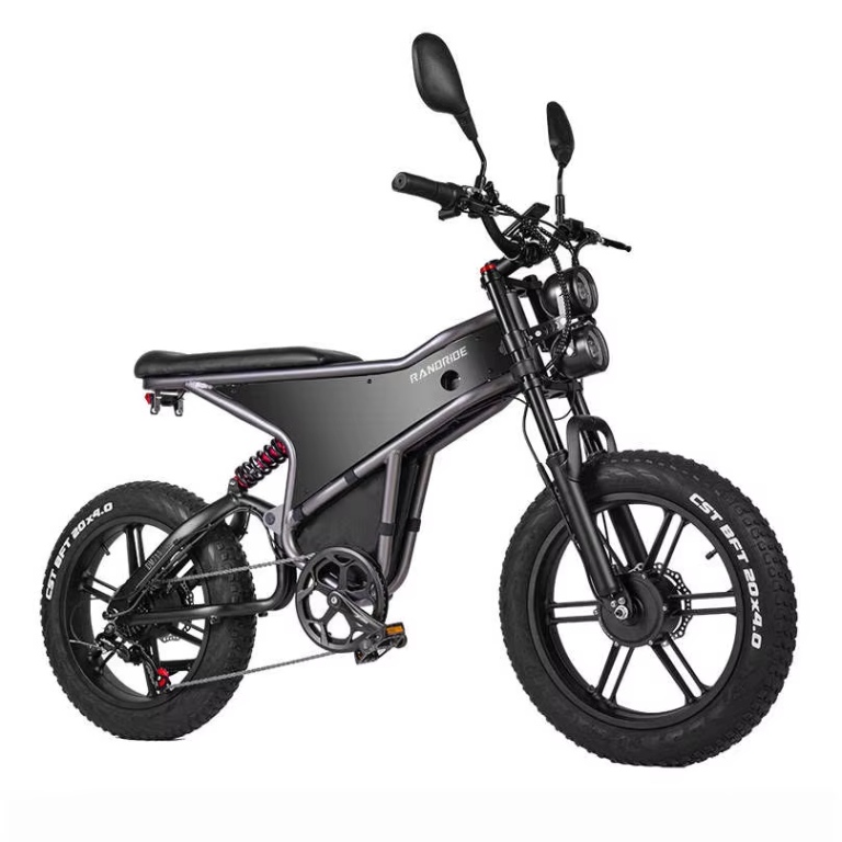 RANDRIDE DM711 Electric Bike