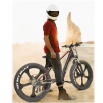 RANDRIDE YX90M Electric Bike RANDRIDE YX90M Electric Bike