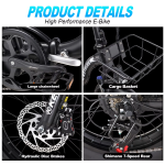 KF9 Electric Bike KF9 Electric Bike