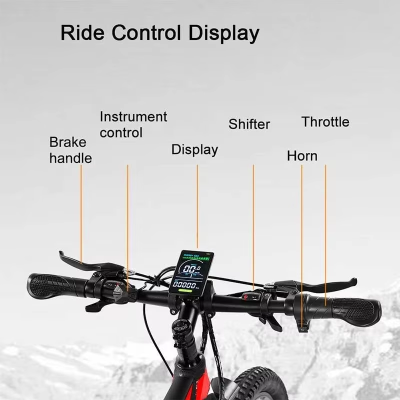 RANDRIDE YS90B Electric Bike RANDRIDE YS90B Electric Bike
