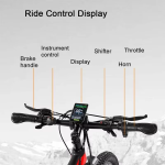 RANDRIDE YS90B Electric Bike RANDRIDE YS90B Electric Bike