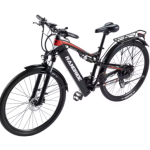 RANDRIDE YG90 Electric Bike RANDRIDE YG90 Electric Bike