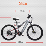 YG90A Electric Bike