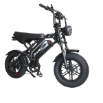 Baolujie F2 Electric Mobility Vehicle Baolujie F2 Electric Mobility Vehicle