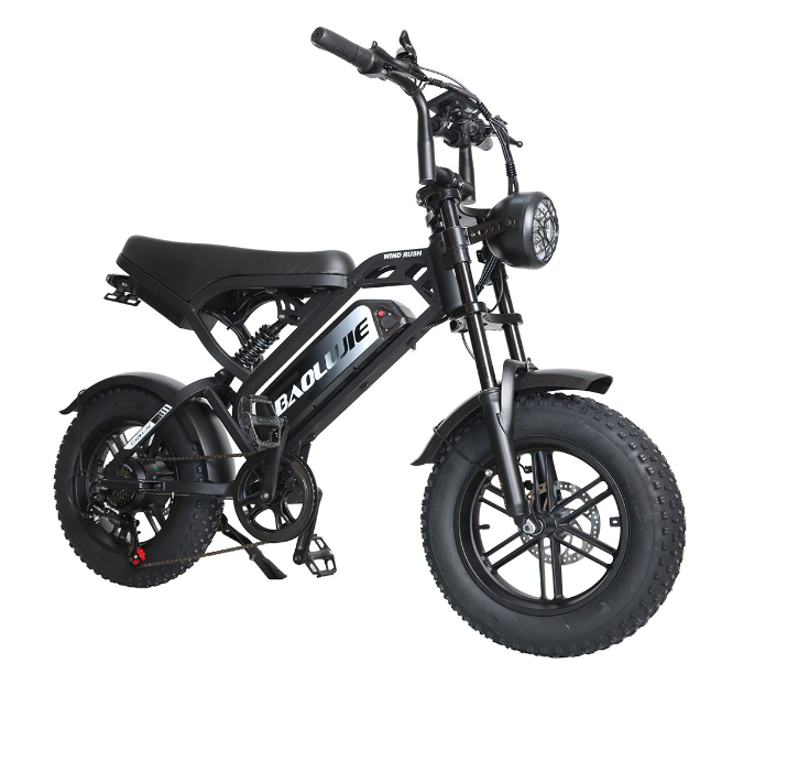 Baolujie F2 Electric Mobility Vehicle