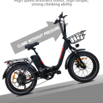 Baolujie DZ-2030 Electric Bike Baolujie DZ-2030 Electric Bike