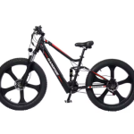 RANDRIDE YX90M Electric Bike RANDRIDE YX90M Electric Bike