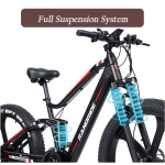 RANDRIDE YX90M Electric Bike RANDRIDE YX90M Electric Bike