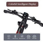 RANDRIDE YX90M Electric Bike RANDRIDE YX90M Electric Bike