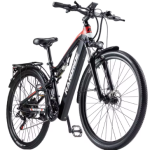 RANDRIDE YG90 Electric Bike RANDRIDE YG90 Electric Bike