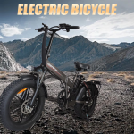 Baolujie DZ-2002 Electric Bike Baolujie DZ-2002 Electric Bike