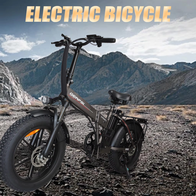 Baolujie DZ-2002 Electric Bike
