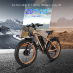 Baolujie DP-2602 Electric Bike Baolujie DP-2602 Electric Bike