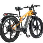 RANDRIDE YX80M-2 Electric Bike RANDRIDE YX80M-2 Electric Bike