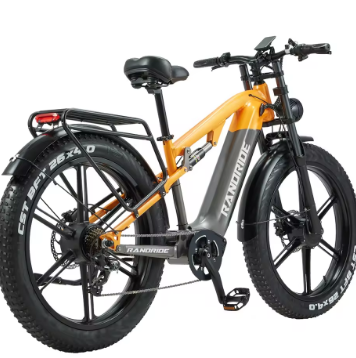 RANDRIDE YX80M-2 Electric Bike