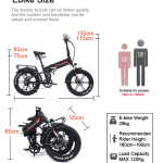 RANDRIDE YX20M Electric Bike RANDRIDE YX20M Electric Bike