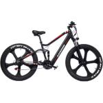 RANDRIDE YX90M Electric Bike RANDRIDE YX90M Electric Bike
