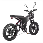 RANDRIDE DM711 Electric Bike RANDRIDE DM711 Electric Bike
