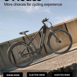 RANDRIDE YG70 Electric Bike RANDRIDE YG70 Electric Bike