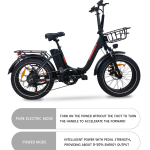 Baolujie DZ-2030 Electric Bike Baolujie DZ-2030 Electric Bike