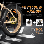 Baolujie DP-2602 Electric Bike Baolujie DP-2602 Electric Bike