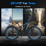 Baolujie DP-2603 Full-Suspension Electric Bike Baolujie DP-2603 Full-Suspension Electric Bike