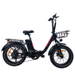 Baolujie DZ-2030 Electric Bike Baolujie DZ-2030 Electric Bike