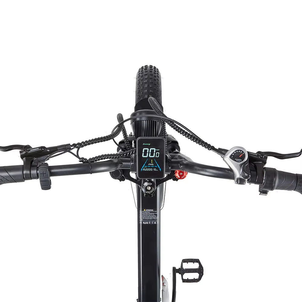 RANDRIDE YX20M-2 Electric Bike RANDRIDE YX20M-2 Electric Bike