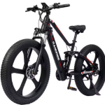 RANDRIDE YX90M Electric Bike RANDRIDE YX90M Electric Bike