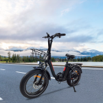 Baolujie DZ-2030 Electric Bike Baolujie DZ-2030 Electric Bike