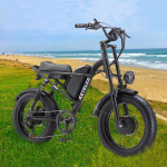 KETELES K880 Electric Bike KETELES K880 Electric Bike