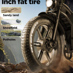 RANDRIDE DM711 Electric Bike RANDRIDE DM711 Electric Bike